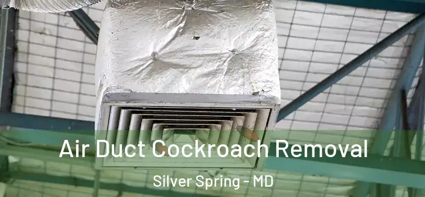  Air Duct Cockroach Removal Silver Spring - MD