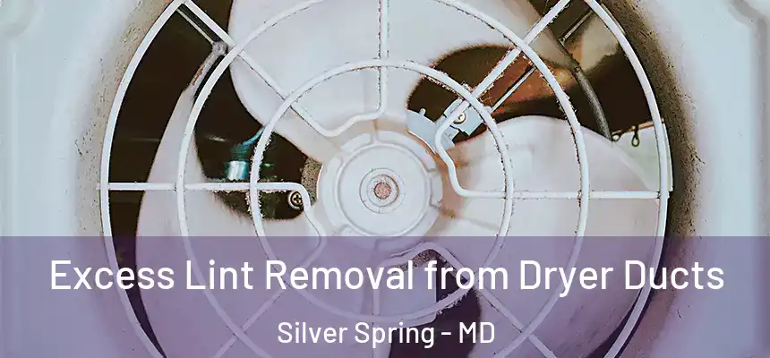 Excess Lint Removal from Dryer Ducts Silver Spring - MD