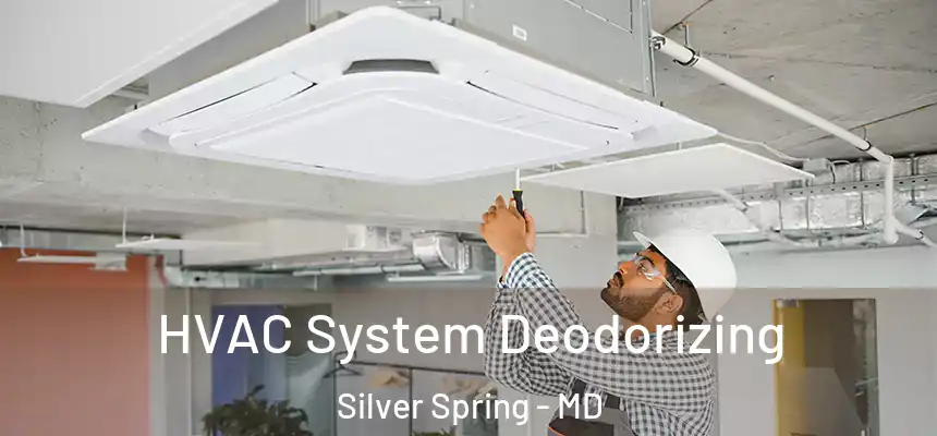 HVAC System Deodorizing Silver Spring - MD
