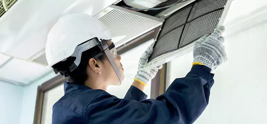 Our Mold & Mildew Removal from Air Ducts Services in Silver Spring, MD