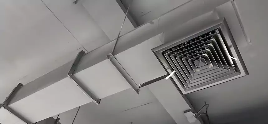 Our Rodent Droppings In Vents Services in Silver Spring, MD