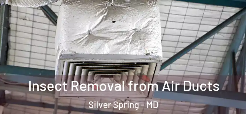  Insect Removal from Air Ducts Silver Spring - MD