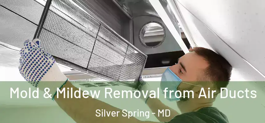  Mold & Mildew Removal from Air Ducts Silver Spring - MD