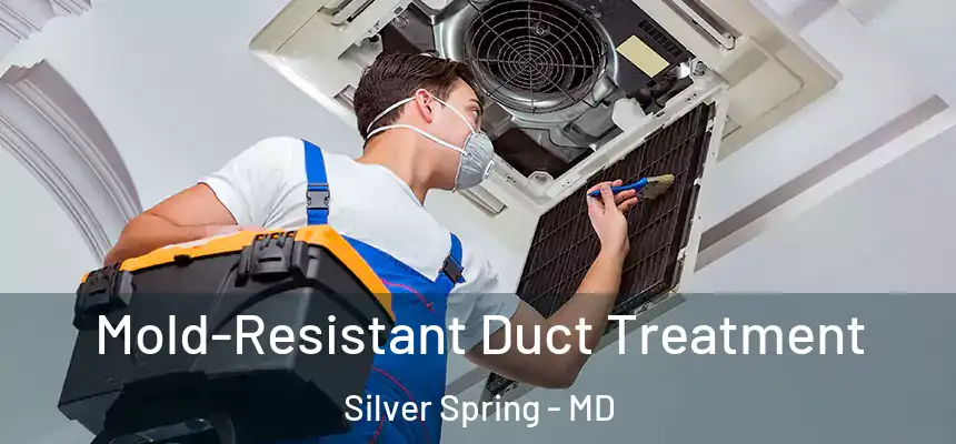  Mold-Resistant Duct Treatment Silver Spring - MD