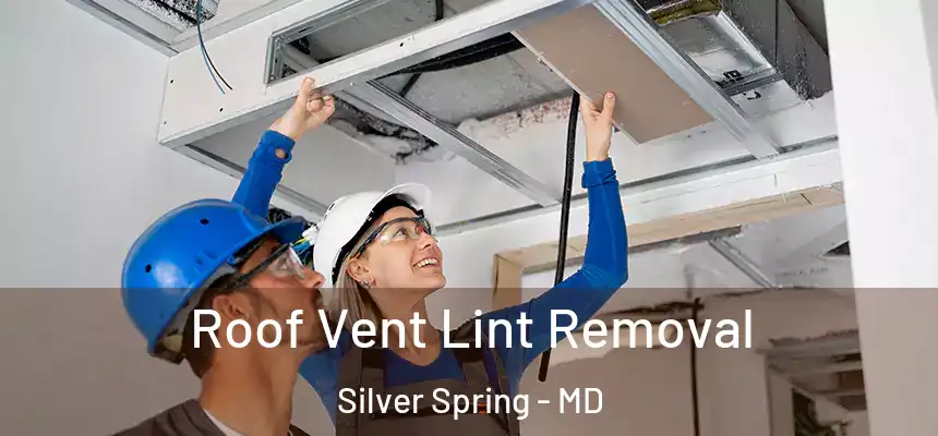 Roof Vent Lint Removal Silver Spring - MD