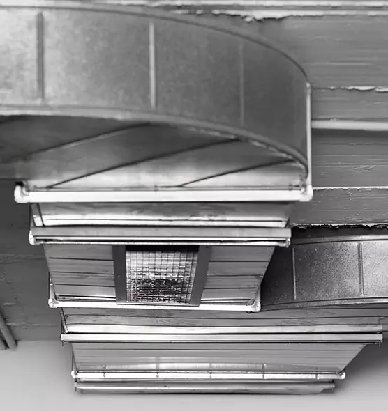 Professional Air Duct Pest Removal in Silver Spring, MD