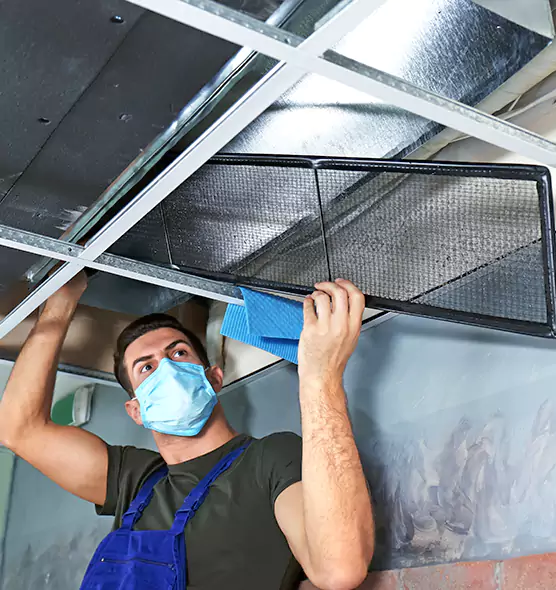 Professional Air Duct Pollen Cleaning in Silver Spring, MD
