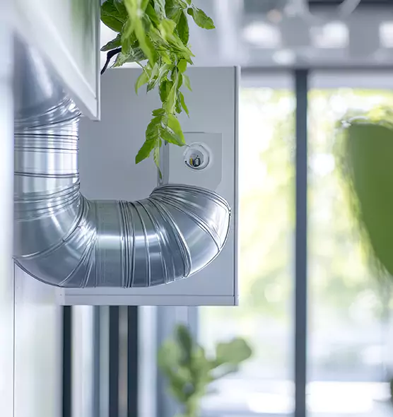 Professional Eco-Safe Dryer Vent Cleaning in Silver Spring, MD