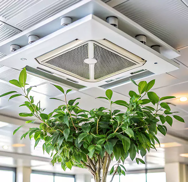 Why Homeowners & Businesses Trust Us in Silver Spring, MD?