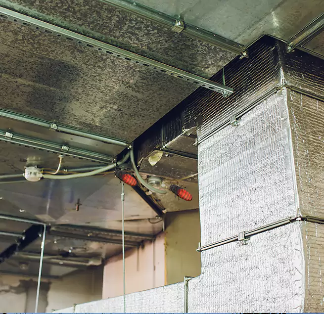 Why Homeowners & Businesses Trust Us Silver Spring, MD?